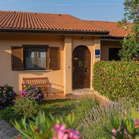 House Ruzmarin *
