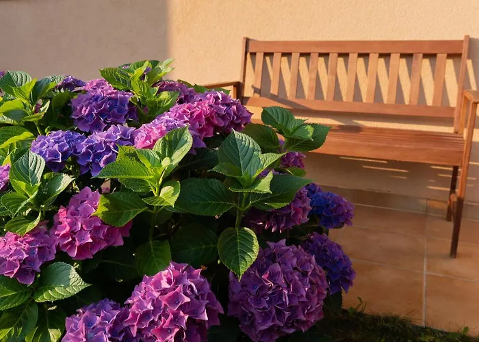 House Ruzmarin * Kaštelir