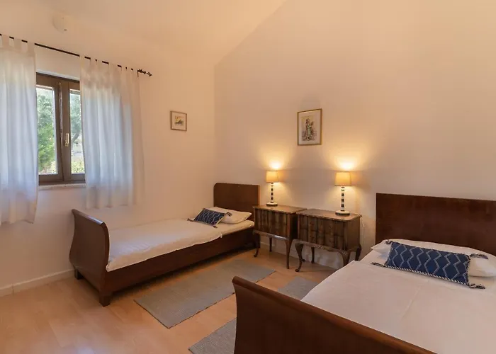 House Ruzmarin *